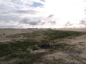 After a rubbish clear up, and before the rains 