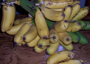 To have or not have with coffee?