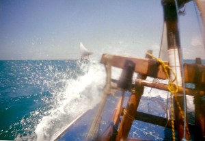 Sailing out on a jangada