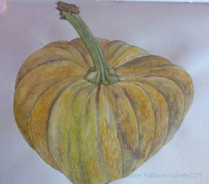 Pumpkin. Abóbora. / jerimum.