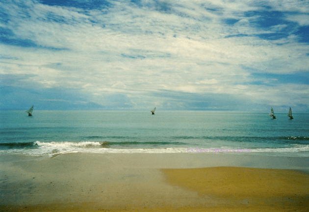 My view from the guesthouse. Prainha do Canto Verde. Feb 2002