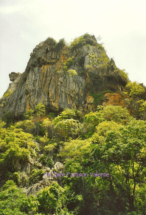 Ubajara National Park