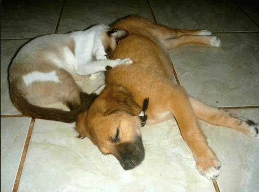 Screen shot 2013-09-11 at 15.01.44