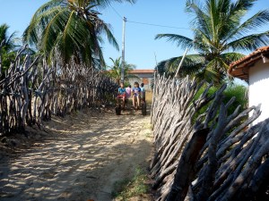 Our son and his friend hitch a lift, past our collapsing fence on the right