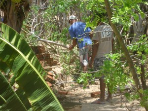 and comes down again