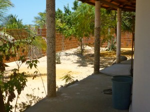 A lot of wall to plant against.