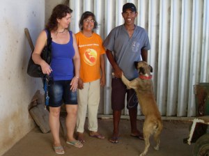 VLUU L100, M100  / Samsung L100, M100