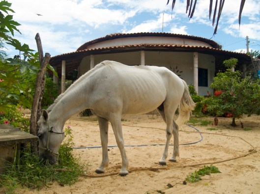 Helping with the weeding