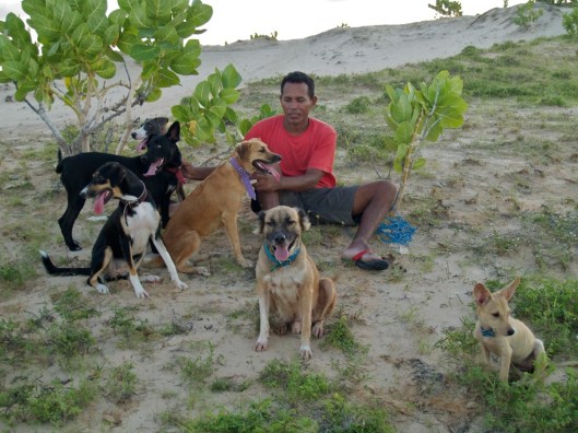 Daily walks with 6 dogs and a horse