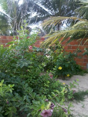 2014-05-23_16-34-43_781