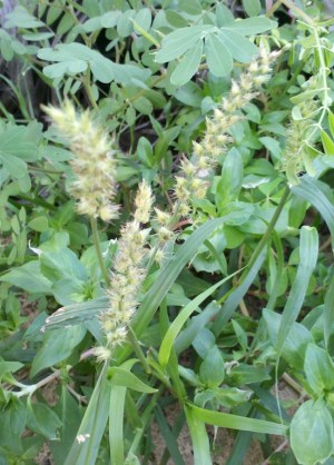 2014-05-23_16-42-47_466