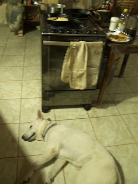 cooking with skahpolo