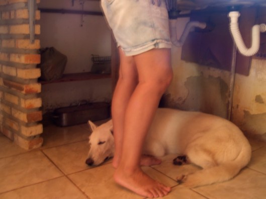 Doing the washing up with Skahpolo