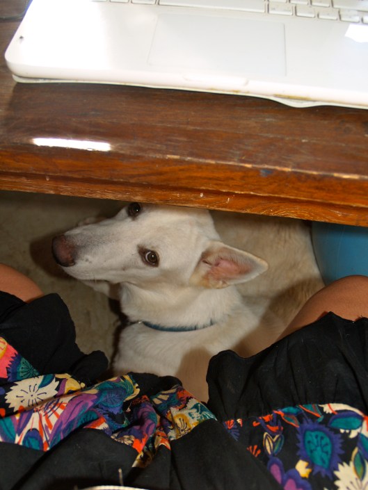 working at the computer