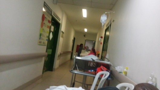 The view from our spot in the corridor