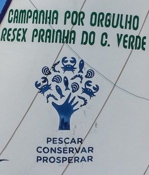 The campaign logo on a sail. Fish, Conserve, Prosper.