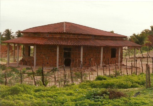 House nearly finished, garden just begun