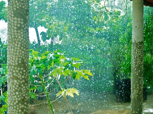 Sunshine and showers