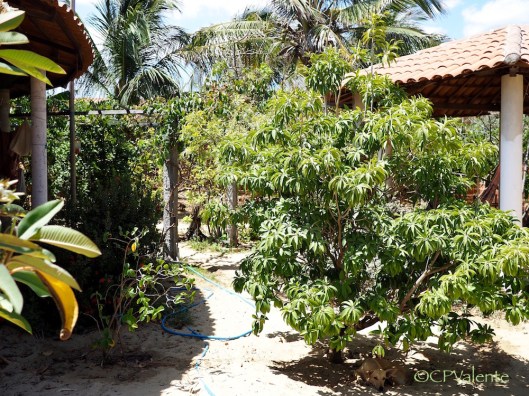 12 years on and what a difference