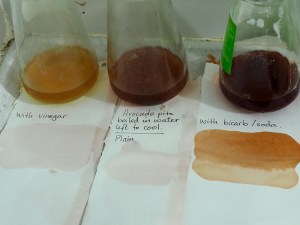 Advocado pits dye bath, (from left to right) Dye with vinegar, No additive, Dye with bicarbonate of soda