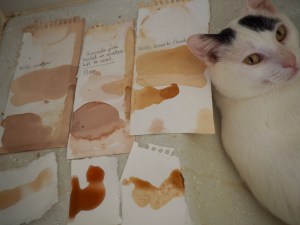 Advocado dye after 24 hours plus cat who's gaurding the dye samples. 