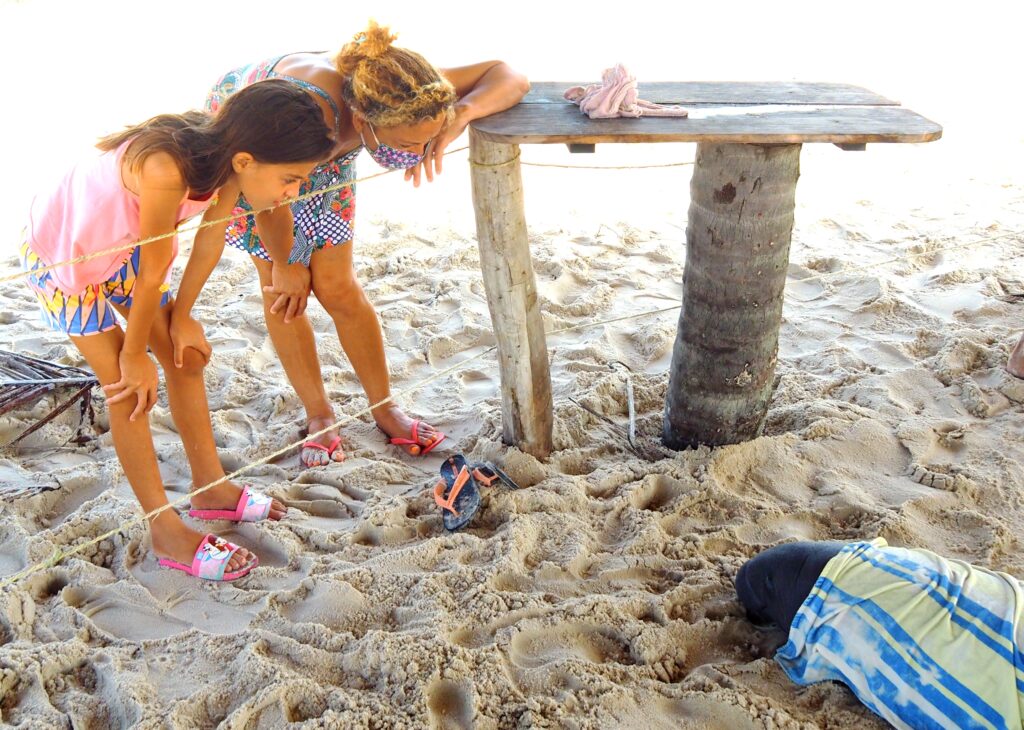 observing the manatee