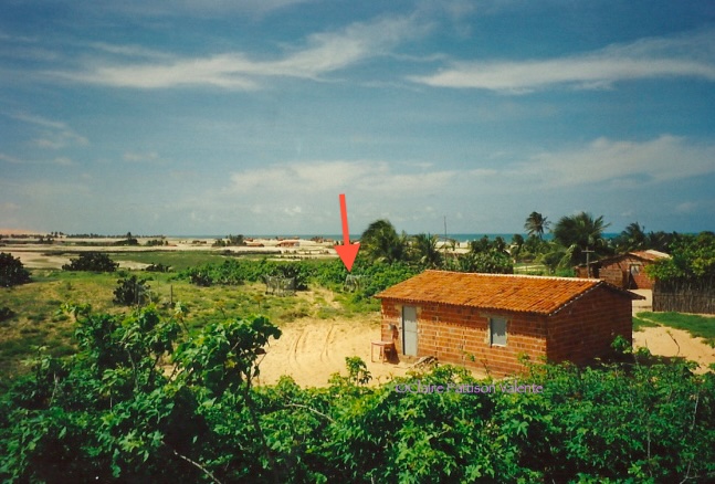 Imagem de um terreno com uma seta apontando para o local onde uma casa foi construída posteriormente.
