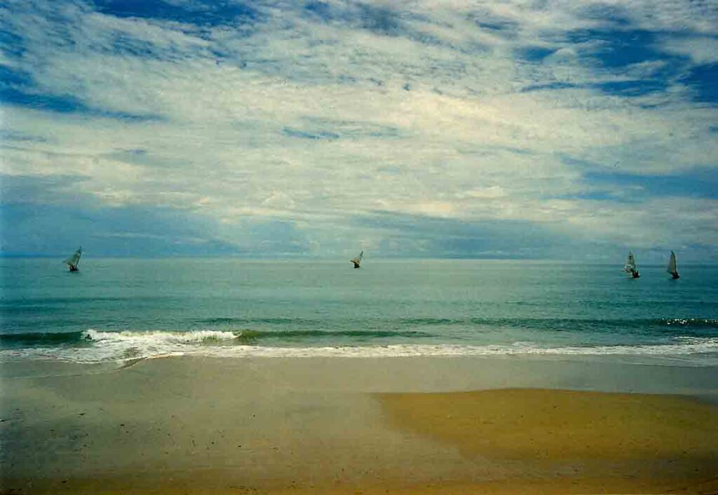 view from the guesthouse