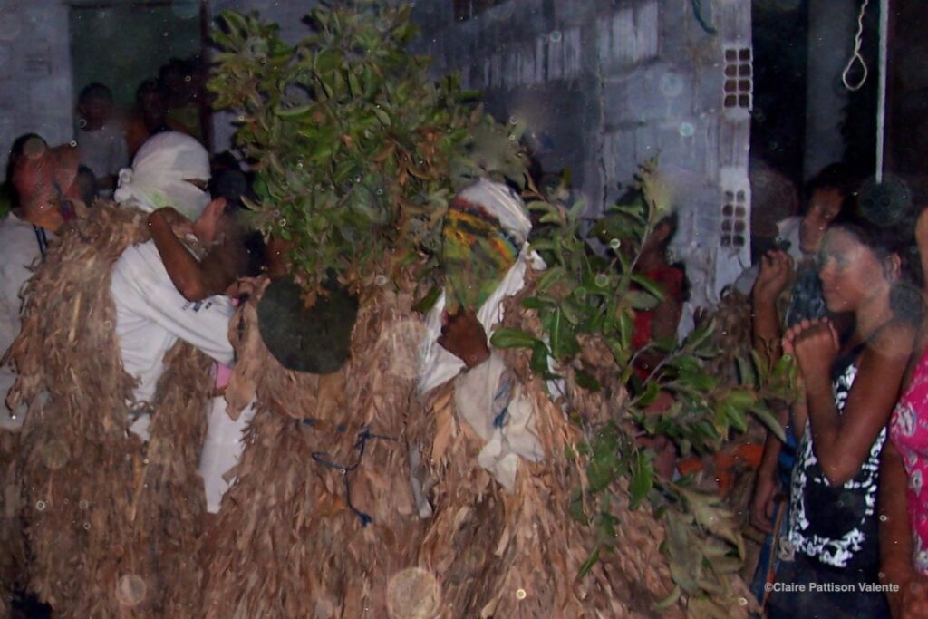 papangus prainha do canto verde