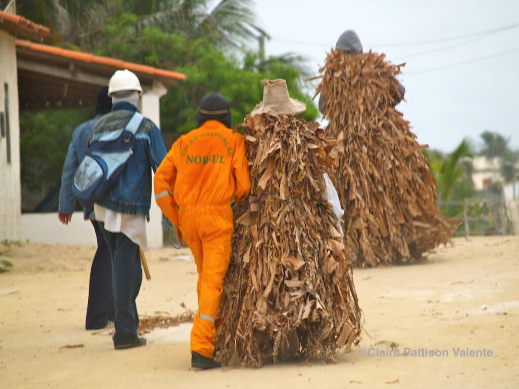 papangus, prainha do canto verde