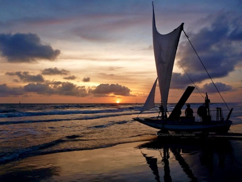 Jagada on the beach at dawn, Prainha do Canto Verde