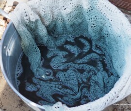 Corante feito de feijão preto. Tecido de malha imerso em uma panela com corante verde/azul feito de feijão preto..