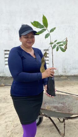 Planting trees. Svg+xml,%3Csvg%20xmlns%3D%22http%3A%2F%2Fwww.w3