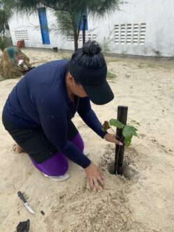 Planting trees. Svg+xml,%3Csvg%20xmlns%3D%22http%3A%2F%2Fwww.w3