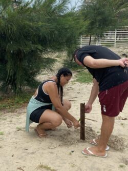 Plantar árvores Svg+xml,%3Csvg%20xmlns%3D%22http%3A%2F%2Fwww.w3