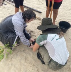 Planting trees. Svg+xml,%3Csvg%20xmlns%3D%22http%3A%2F%2Fwww.w3