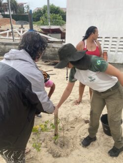 Plantar árvores Svg+xml,%3Csvg%20xmlns%3D%22http%3A%2F%2Fwww.w3