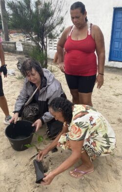 Planting trees. Svg+xml,%3Csvg%20xmlns%3D%22http%3A%2F%2Fwww.w3