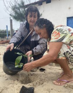 Plantar árvores Svg+xml,%3Csvg%20xmlns%3D%22http%3A%2F%2Fwww.w3