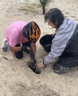 Planting trees. Svg+xml,%3Csvg%20xmlns%3D%22http%3A%2F%2Fwww.w3