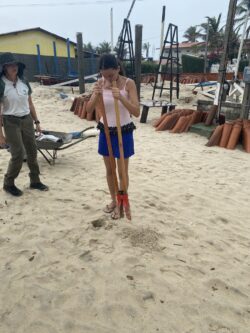 Plantar árvores Svg+xml,%3Csvg%20xmlns%3D%22http%3A%2F%2Fwww.w3