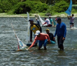 a group of men sailing model jangadas in a lagoon