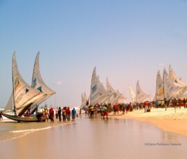 Regatta, Prainha do Canto Verde Jangadas lined up on the beach for the regatta, prainha do canto verde