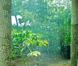 Sol através da chuva, Prainha do Canto Verde