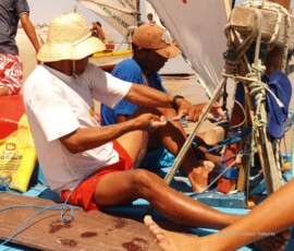 Preparing the boat for the regatta Group of men working on the ropes to prepare a jangada for the regatta