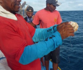 pescadores usando métodos tradicionais de pesca, com linha na mão.