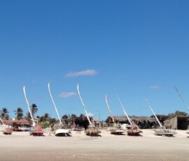Jangadas lined up on the beach, Prainha do Canto Verde
